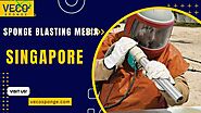 Sponge Blasting Media Singapore