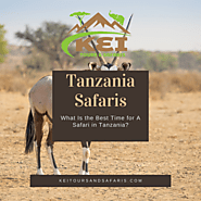 Wildlife Spectacles in Tanzania: The Great Migration Safari