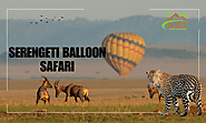 Serengeti Balloon Safari: A Once-in-a-Lifetime Adventure