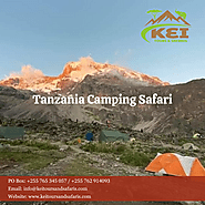 Experience the Wild: Tanzania Camping Safari