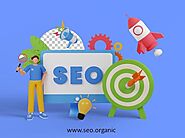 Boost Your Online Presence with Our Organic SEO Agency in Hamburg