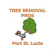 Tree Removal Pros Port St Lucie, FL