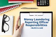 MLRO Responsibilities Explained: What You Need to Know?