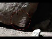 Alien Hieroglyphs Finally Found On Mars In NASA Spirit Rover Photo, Dec 2015, Video, UFO Sighting News. | Area 52