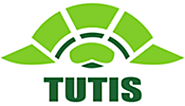 HSE Consultancy Services | TUTIS Training - Qatar