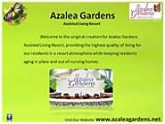 Azalea Gardens's PowerPoint Presentations online: Page 1