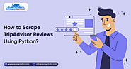 How To Scrape TripAdvisor Reviews Using Python?