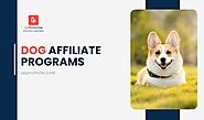 Top 9 Best Dog Affiliate Programs for All Kinds of Products