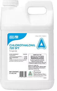 Chlorothalonil Market Forecast 2024-2032