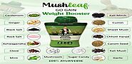 Discover the Benefits of Mushleaf Go Gain Weight Booster for Healthy Weight Gain