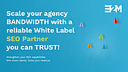 Scale your agency BANDWIDTH with a reliable White Label SEO Partner you can TRUST!