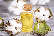 Unlocking the Health Benefits of Cotton Seed Refined Oil with Natural Healthy Food – Natural Healthy Food