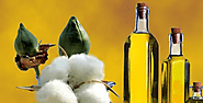 Cottonseed Oil vs Olive Oil: Which is the Best for Cooking?