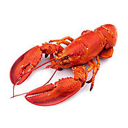 Indulge in the Irresistible Delicacy of Frozen Whole Lobster