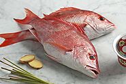 Delight Your Palate with Fresh Caribbean Red Snapper from Marine Gold Seafoods