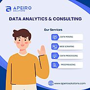 Data Analytics and Consulting Services