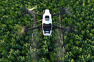 Revolutionizing Arboriculture Drones in Tree Care