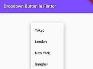 Guide to Fix Dropdown Button Not Switching Selected Item | Flutter