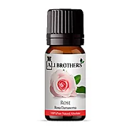 Buy Rose Absolute Oil