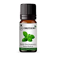 Buy Basil Oil