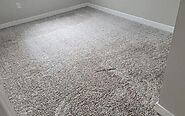 Finest Carpet Cleaning in Los Angeles