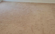 Ultimate Carpet Cleaning in Sherman Oaks