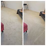 Expert Carpet Cleaning in Studio City