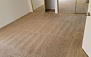 Excellence Carpet Cleaning in Santa Monica