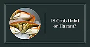 Is Crab Halal or Haram? Complete Guide From Quran And Hadith - Explore Study