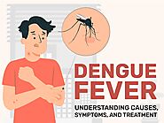Dengue Fever: Understanding Causes, Symptoms, and Treatment