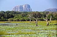 Yala National Park