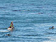 Great White Shark Bump in Santa Cruz Prompts Four-Day Beach Closure