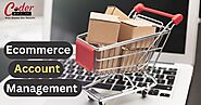 Strategies for E-Commerce Account Management Services in Delhi NCR