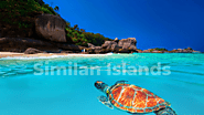 Visit one of the most beautiful places in the world «Similan Islands»from Phuket & Kao Lak