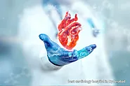 Best Cardiology Hospital in Hyderabad | My Health Hospital