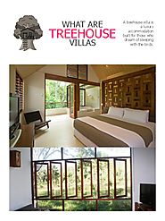Stay at a Treehouse Villa