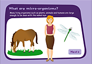 What are micro-organisms?