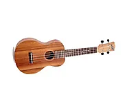 A Simple Guide to Tuning Your Low G Ukulele - Musicalinstrumentworld.com