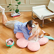 Making Home Sweet Home for Your Pet: Essential Tips