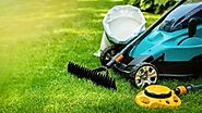 Revive Your Lawn with Professional Lawn Care Suwanee Solutions