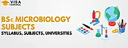 BSc Microbiology Subjects: Syllabus, Subjects, Universities 