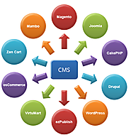 Get value-based CMS development services from emphatic technogies to bulid your website with perfection