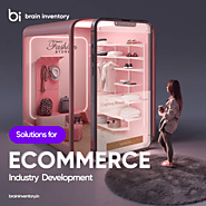 Solutions for eCommerce Industry Development