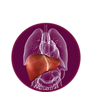 Ayurvedic Marvels: Liver Cirrhosis Ayurveda