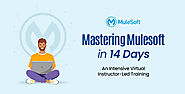 Instructor-Led MuleSoft Fundamentals Online Training Course