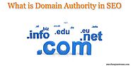 What is Domain Authority in SEO - Search Engine Stream