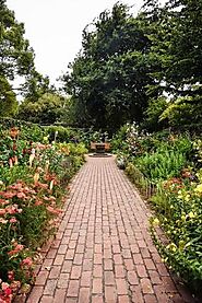 Local Landscapers in Potomac and Surrounding Areas
