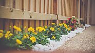 Flowers by Fence