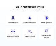 komalpestcontrol-termite control in Ahmedabad, pest control service in gandhinagar