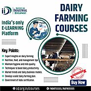 Best Dairy Farming Business Course With Government Certification